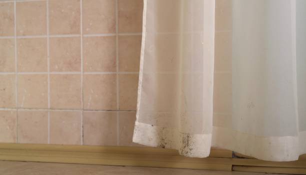 Best Dehumidification Services  in Kaumakani, HI