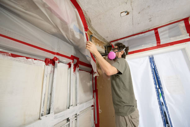 Best Comprehensive Air Testing for Mold Contaminants  in Kaumakani, HI