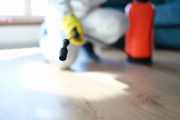 Professional Mold Removal in Kaumakani, HI