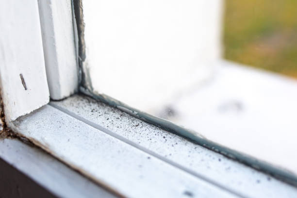 Best Residential Mold Inspection & Testing  in Kaumakani, HI
